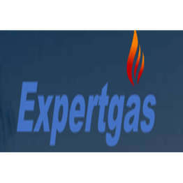 Expert Gas logo