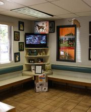 South Kendall Animal Hospital image 2