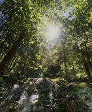 Holzbau Ibbeken Bild 1