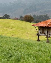 Carpintería Alonso imagen 1