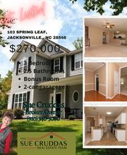 Sue Cruddas Real Estate Team image 15