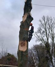 Arbor & Paysage image 15