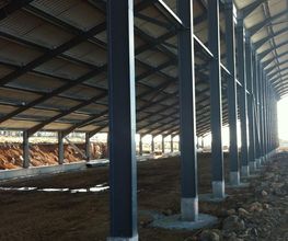 CMF Structures image 1