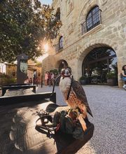 Palacio de Velarde imagen 11