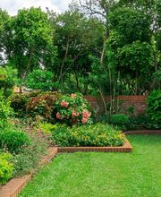 Lucas Pichenot Paysage image 1