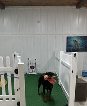 Scotland's Mist Acres image 4