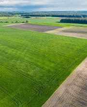 Colbert Properties imagen 12