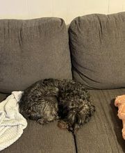 Jeff Millerd - State Farm Insurance Agent image 12