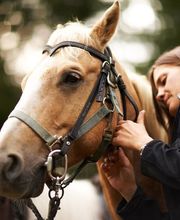Guido Daasch Rechtsanwalt für Arbeitsrecht - Verkehrsrecht Schwanewede - Bremen Bild 4