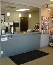 Gentle Doctor Animal Hospital image 8