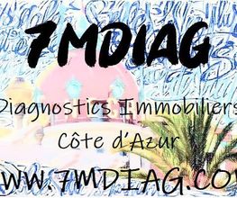 7Mdiag image 3