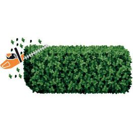 Pfaffenberger Garten-Baum-Zaun