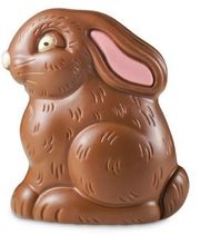 CLINIQUE VETERINAIRE DE LA VALLEE image 10