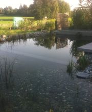 Knür Garten- und Tiefbau GmbH Bild 11