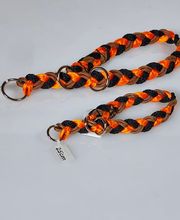 Zoo-Shop GmbH & Swissdogbox.ch Bild 9