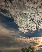 Saalerastplatz Wasserwerk Naturcamp Bild 2