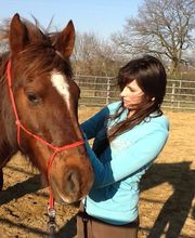 DOMAINE D'HIPPIOS image 2