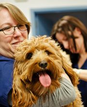 Ridgeview Animal Hospital image 14