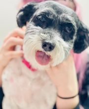 Country Hills Veterinary Hospital: Greene Mark DVM image 6