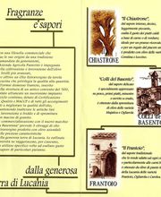 Antico Frantoio il Chiastrone immagine 6