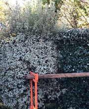 SEB29 PAYSAGE image 3