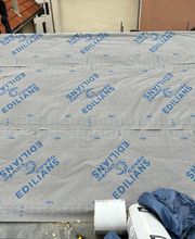 Seneca Antony image 3