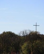 Bestattungen Stadtfeld & Wagner Bild 5