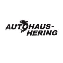 Autohaus Hering GmbH