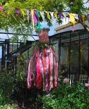 La Pépinière d'Ilca image 2