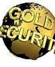 Gold Security image 3
