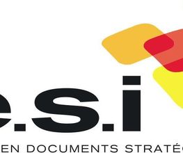 ESI image 2