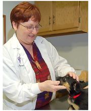 Monroe County Animal Hospital image 14