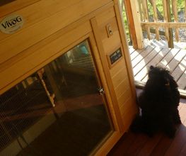 Charly'Dog image 5