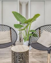 Le Salon Hair & Style image 6