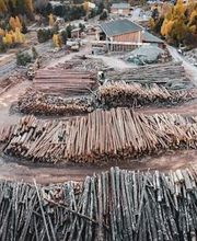 Scierie Savoldelli image 1