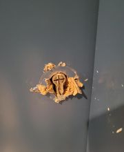 Protect Habitat NR image 8