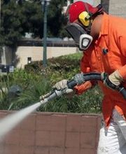 STE Le Caméléon image 1