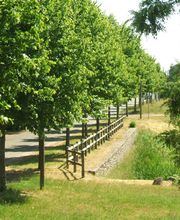 Herrenhaus Samow Bild 4