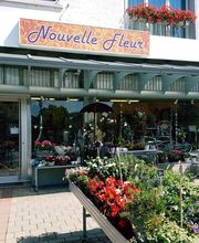 Blumen Nouvelle Fleur Bild 1