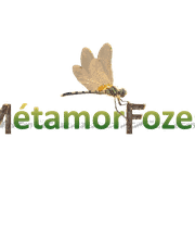 MétamorFozes - Bilan de Compétences -Coaching - Psychopraticienne - DISC - Formation - image 2