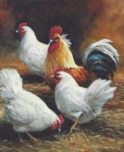 Boiron P . M . SARL image 1