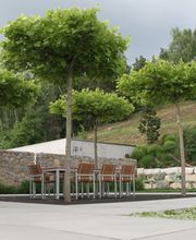 Pohl GÄRTEN GmbH Bild 1