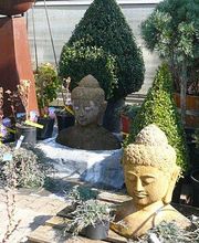 Strickler Blumen & Gärten AG Bild 1