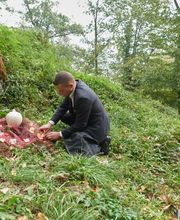 Mischler Bestattungen GmbH Bild 5