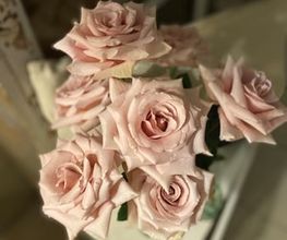 Blumen La Violetta Bild 6