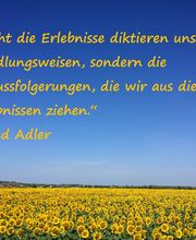 BeCoSe - Beratung, Coaching & Seminare Bild 6