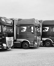 Autotrasporti Spader Roberto immagine 8