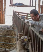 GAN ASSURANCES PRIVAS OUVEZE image 1