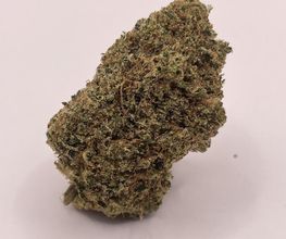 Green Budd CBD Pontchâteau image 13