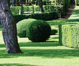 Immergrün Pool-, Garten- und Umwelttechnik Bild 2